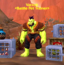 WoW Pet Battles - это пошаговая мини-игра нового типа в World of Warcraft